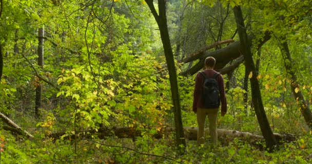 Hombre con mochila llega al bosque viejo mirando a su alrededor se sienta al tronco caído del árbol buscando algo en su mochila troncos de madera caídos — Vídeo de stock