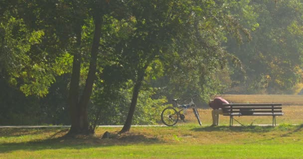 Man sitter på den bänken med hans armar lutade till knän mannen har en resten uttråkad Man på bänken i Park Backpacker turist är sitter ensam solig dag — Stockvideo