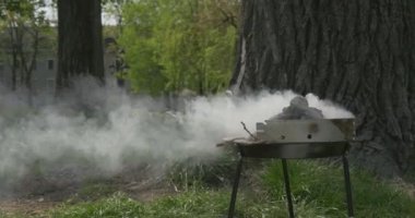Ağacın altında yeşil çimenlerin üzerinde ızgara. Bir Barbekü ile dinlenmek için harika yaz gün.