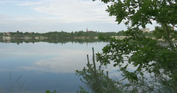 池塘、 湖、 河、 远上相反银行，树绿树 — 图库视频影像