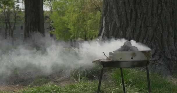 Grill sur l'herbe verte sous l'arbre. Merveilleuse journée d'été pour se détendre avec un barbecue . — Video