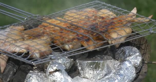 Churrasco com carne grelhada ao ar livre fundo grama verde. Cozinhar carne na grelha . — Vídeo de Stock