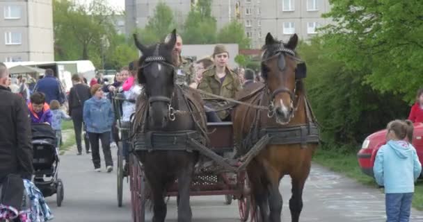 Lengyelország európai győzelem napja ünnep: lovak húz a targonca — Stock videók