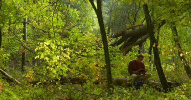 Adam gözlük günlük düşmüş ağaç Overgrown yaşlı orman ve okuma bir kitap okuyucu döner devam okuma sırt çantası bir numara üzerinde oturuyor