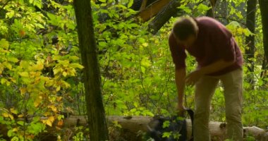 Gözlük Freelancer Tasarımcı Copywriter Muhasebeci Man Comes ve Yeşil Orman Adam Log Fallen Tree Oturur Laptop ile Çalışıyor