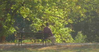 Adam Bench Man Oturuyor Dizlerine Kollarını Eğildi Sırt Çantası Footpath Man Bir Rest Yeşil Ağaç Dalları var Park Alley Bench üzerinde