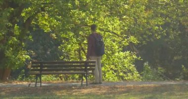 Sırt Çantası ile Man Park Footpath Alley tarafından Yürüyüş Ağaç Bakıyor Bench Man Oturur Adam Onun Bacaklar Man Gerilmiş Has Bir Dinlenme var