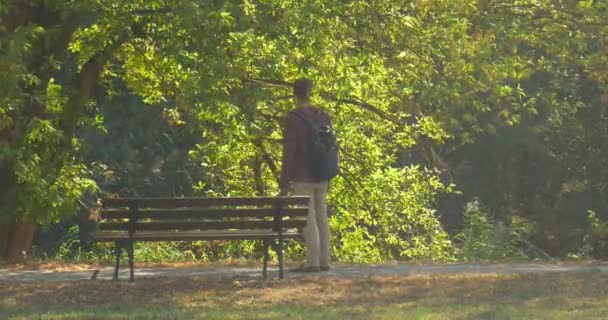 배낭을 가진 남자는 공원에서 산책로 골목으로 걷고있는 나무는 벤치에 앉아 남자가 앉아있는 사람이 그의 다리를 뻗어 있다. — 비디오