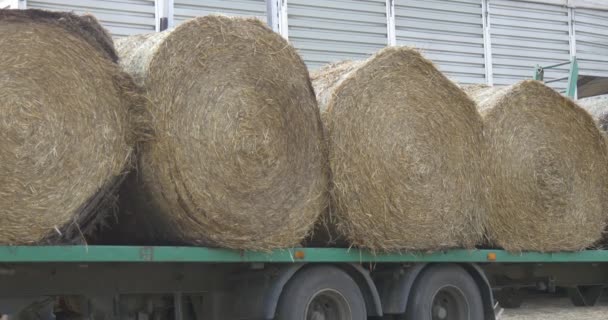 Machine, trekker probeer twee hooibalen van de groene trailer te nemen door de lader, Balen bewegen — Stockvideo