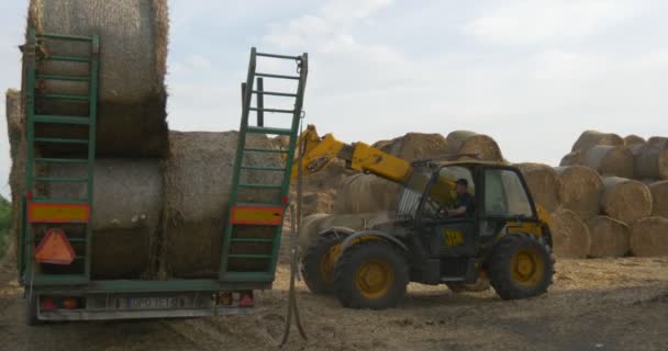 Driver, gul traktor driven av man ta bort hö balar från släpvagn — Stockvideo