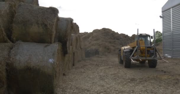 Yellow Tractor, Hay Bales And Hay Storage on the Field — Stok video