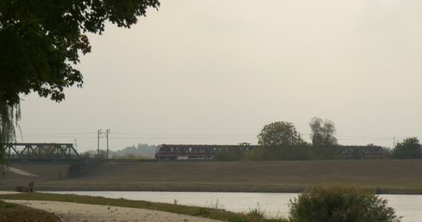 Treno elettrico si sta muovendo dal ponte attraverso il fiume Asfalto Road in Park Alley gira Cadendo Dry Yellow Leaves Park presso il fiume Green Trees — Video Stock