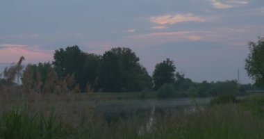 Grove, Reed, Cirrus bulutlar ve üzerine su birikintisi, göl günbatımı Hotspot