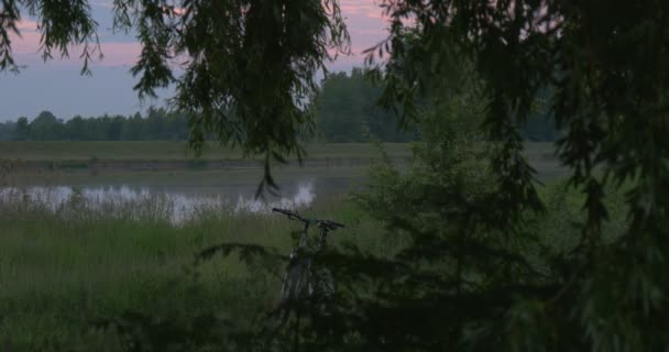 自転車。柳の枝のクローズ アップ、湖、池、空と夕日のホット スポット、風景、緑の草 — ストック動画