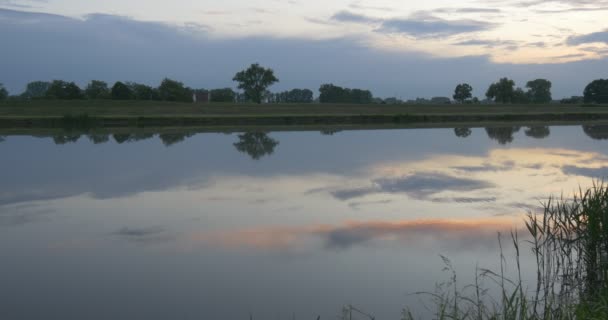 Nuvens Cirrus, Céu e reflexo do pôr do sol no lago, Lagoa, Verde, Tress em banco oposto — Vídeo de Stock