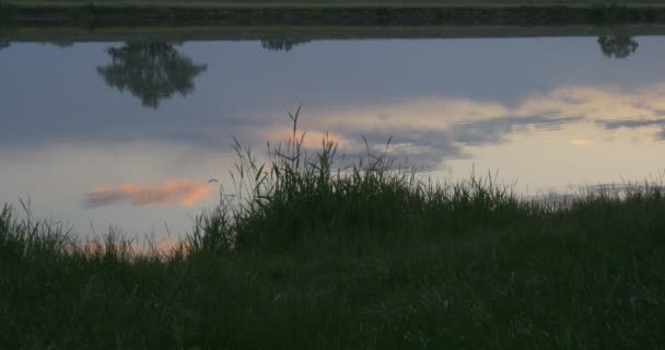 Spiegelung von Himmel und Sonnenuntergang in See, Teich, Landschaft, grünem Gras — Stockvideo
