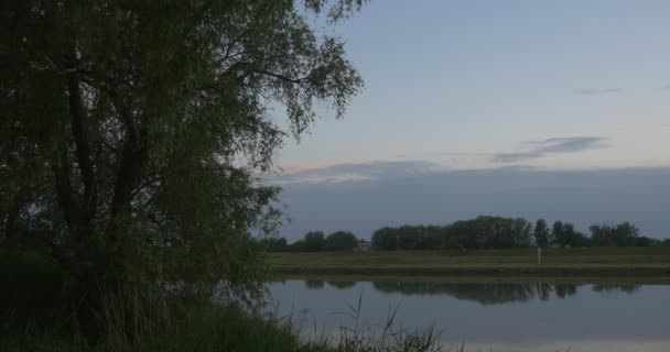 前景、グレイ湖、池、空、夕焼けホット スポット、風景、上柳緑の草 — ストック動画