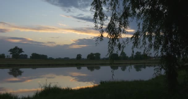 柳树、 湖、 池塘、 天空和日落热点，景观，绿草 — 图库视频影像