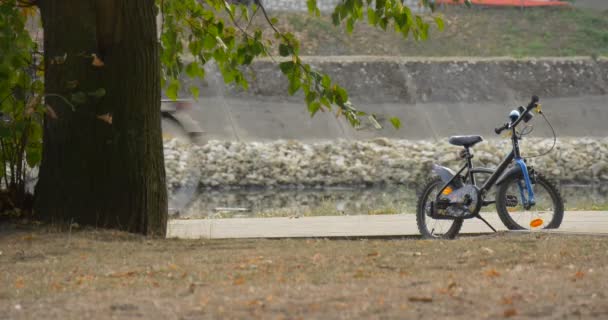 駐車青い子供の自転車の近視の男は、地面の日差しの秋の日の上に緑の木の乾燥した草の葉を渡す自転車に — ストック動画