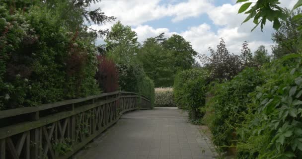 通过绿色公园，木制篱笆的木桥 — 图库视频影像