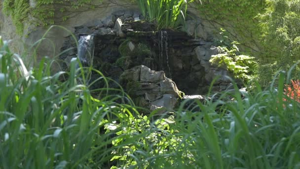 Cueva pedregosa, arco, con cascada, cámara lenta — Vídeo de stock