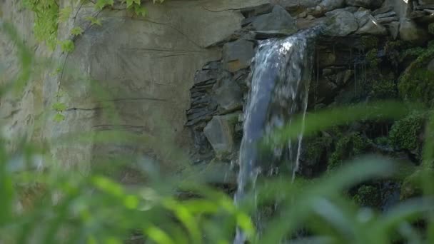 Pequena cachoeira nas pedras Closeup, grama em primeiro plano, câmera lenta — Vídeo de Stock