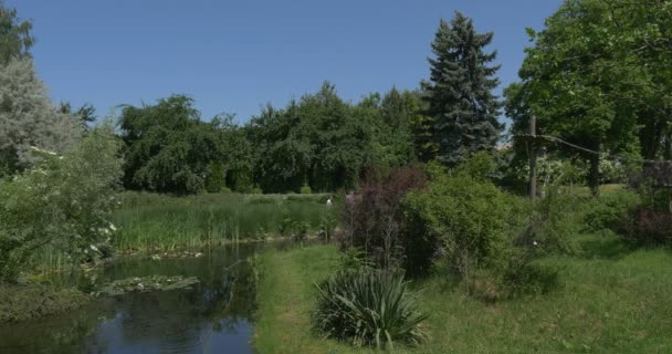 Menschen spazieren durch den Park, am kleinen Fluss — Stockvideo