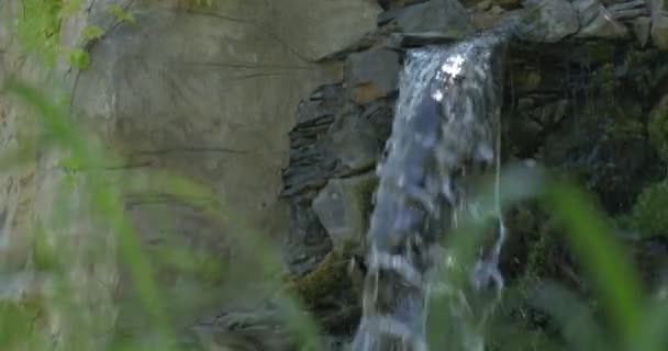 Pequena cachoeira nas pedras Closeup, grama em primeiro plano — Vídeo de Stock