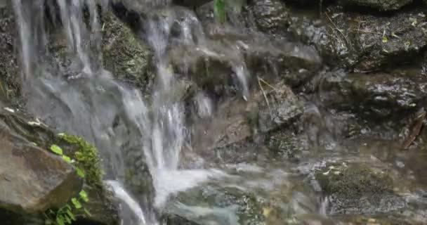 Il flusso d'acqua sta galleggiando verso il basso da pietre, muschio, primo piano — Video Stock