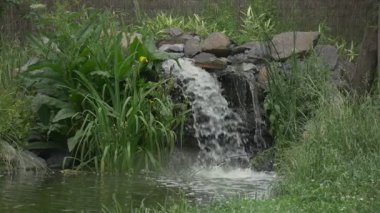 Şelale ve River Park, portre, yavaş hareket