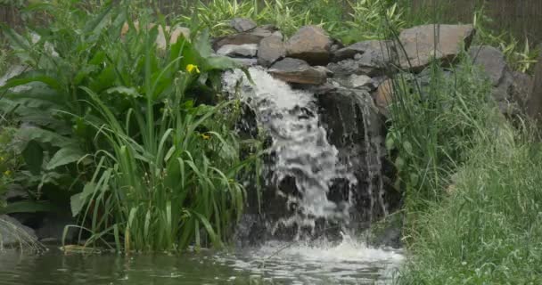 Cascata e fiume nel parco, Avvicinamento — Video Stock