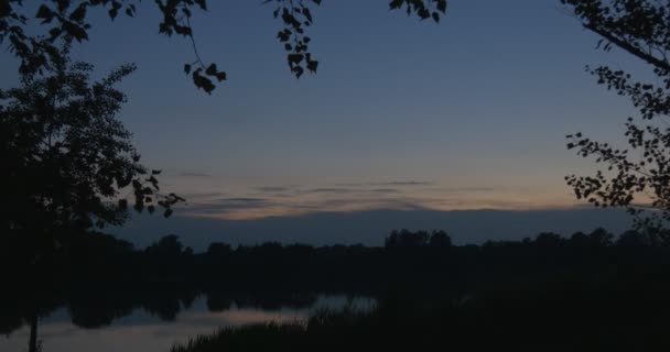 夜、深夜の池、植物のシルエット、青空の反射、地平線、滑らかな水、夕方 — ストック動画