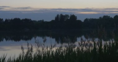 Reed Pond Closeup'ta. Horizon, Parça Mavi Gökyüzü, Pürüzsüz Su, Akşam