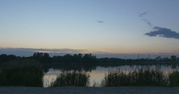 Reed op de vijver, horizon, groot stukje blauwe hemel, glad water — Stockvideo