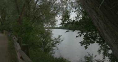 Akşam nehir, gölet, yeşil ağaçlar ve çalılar, su, göl üzerinde