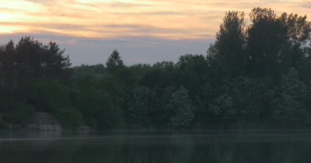 Puesta de sol en el río, siluetas de árboles y reflejo del cielo en el agua — Vídeos de Stock