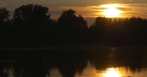 川、木と空の反射水でのシルエットの夕日 — ストック動画