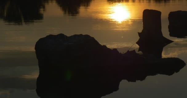 Sylwetka kamienia zachód słońca nad rzeką, sylwetki drzew i niebo odbicie w wodzie — Wideo stockowe
