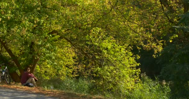 L'homme se déplace à travers le livre puis il le ferme et s'assoit livre WIth dans sa main sur le sol sous l'arbre vert écartant et regarde le lac jour ensoleillé 