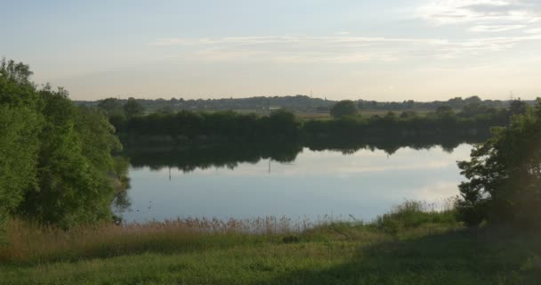 Teich, See, glattes Wasser, Bäume und Wiesen, blauer Himmel — Stockvideo