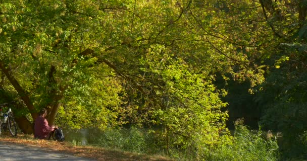 Uomo si siede a terra sotto diffusione albero verde e mette il suo zaino nero a terra prende libro dal suo zaino Sunny Autumn Day — Video Stock