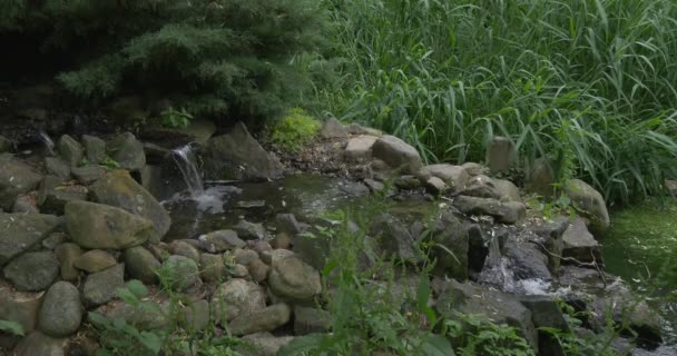 Vatten ström, vattenfall i ström av stenar — Stockvideo