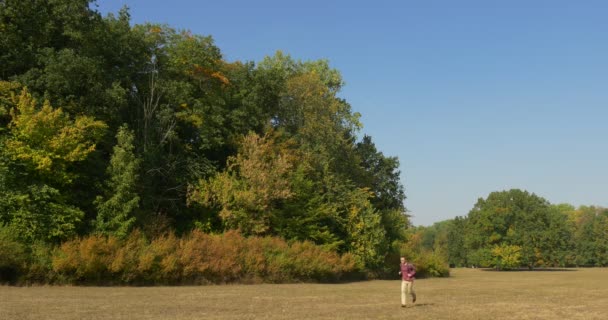 Man met rugzak loopt op het gazon met droge gras toeristische bomen met groene en gele bladeren Park gebied Forest Clear Sky zonnige warme herfst dag — Stockvideo