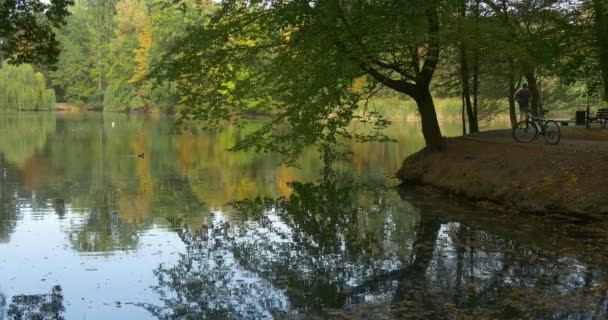 バックパックを持つ男はゆっくりと湖畔を歩く男は、彼の自転車が木の公園エリアの近くに立っている水を見て暖かい晴れた秋の日 — ストック動画