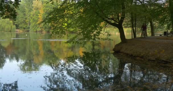 Hombre en el paseo en bicicleta a la orilla del lago se detiene y mira el agua y luego se aleja soleado cálido otoño día parque área — Vídeo de stock