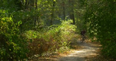 Wood Park Yeşil Ağaçlar ve Çalılar Patika Güneşli Sıcak Sonbahar Günü Açık Havada Her Iki Tarafında Patika Patika Üzerinde Bisiklet Rides On Man