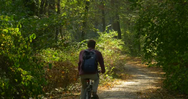 Homem rola na bicicleta sem girar os pedais no caminho dos pés na madeira vista traseira dia de outono ensolarado ao ar livre — Vídeo de Stock