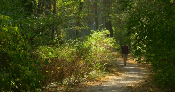 Man met boek in zijn rechter hand wandelingen op het voetpad in de Wood Park man in Glases warme herfst dag buitenshuis — Stockvideo