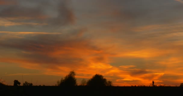 上の地平線の明るい黄色日没で男のシルエットを実行フィールド カラフルな雲巻雲木 ' と Bushes'Silhouettes — ストック動画