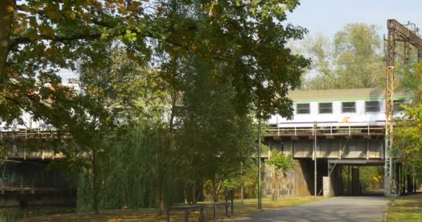 旅客列車は、橋の街並み緑の木の下に古い橋アスファルト道路とトンネルで移動している緑の木は、青空秋の夏の日屋外 — ストック動画